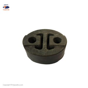 منجید اگزوز دیگنیتی